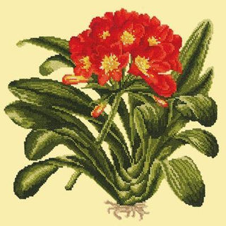 Clivia Needlepoint Kit Kits Elizabeth Bradley Design Butter Yellow 

