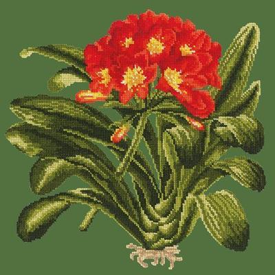 Clivia Needlepoint Kit Kits Elizabeth Bradley Design Dark Green 