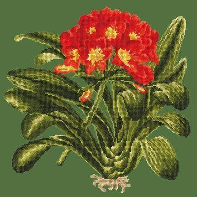 Clivia Needlepoint Kit Kits Elizabeth Bradley Design Dark Green 
