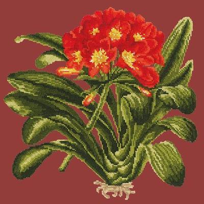 Clivia Needlepoint Kit Kits Elizabeth Bradley Design Dark Red 
