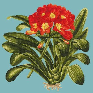 Clivia Needlepoint Kit Kits Elizabeth Bradley Design Duck Egg Blue 
