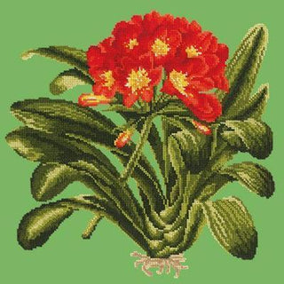 Clivia Needlepoint Kit Kits Elizabeth Bradley Design Grass Green 
