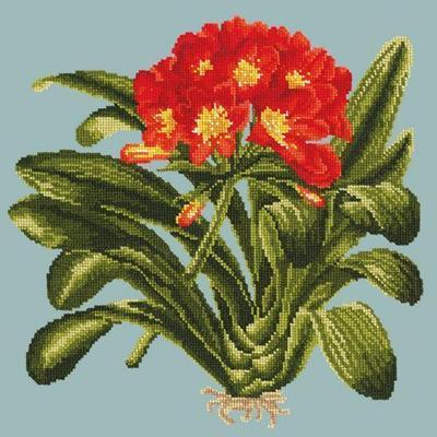 Clivia Needlepoint Kit Kits Elizabeth Bradley Design Pale Blue 
