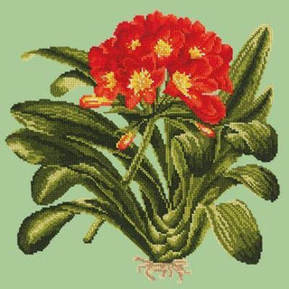 Clivia Needlepoint Kit Kits Elizabeth Bradley Design Pale Green 
