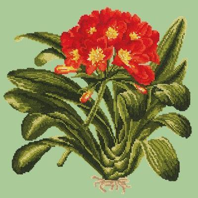 Clivia Needlepoint Kit Kits Elizabeth Bradley Design Pale Green 
