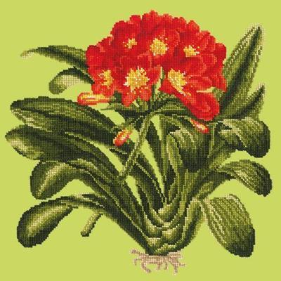 Clivia Needlepoint Kit Kits Elizabeth Bradley Design Pale Lime 
