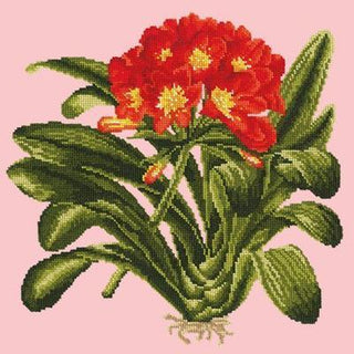 Clivia Needlepoint Kit Kits Elizabeth Bradley Design Pale Rose 
