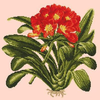 Clivia Needlepoint Kit Kits Elizabeth Bradley Design Salmon Pink 
