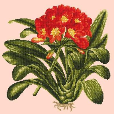 Clivia Needlepoint Kit Kits Elizabeth Bradley Design Salmon Pink 
