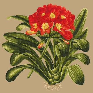 Clivia Needlepoint Kit Kits Elizabeth Bradley Design Sand 
