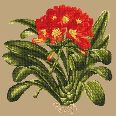 Clivia Needlepoint Kit Kits Elizabeth Bradley Design Sand 
