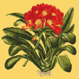 Clivia Needlepoint Kit Kits Elizabeth Bradley Design Sunflower Yellow 
