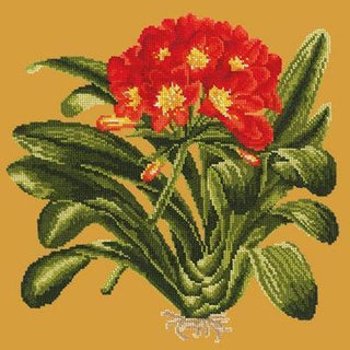 Clivia Needlepoint Kit Kits Elizabeth Bradley Design Yellow 
