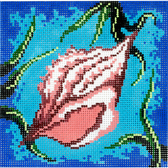 Conch Shell with White Coral on Aqua Painted Canvas Patti Mann 
