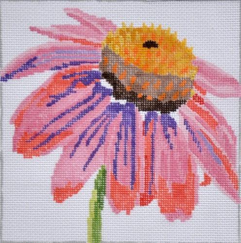 Coneflower Painted Canvas Jean Smith 