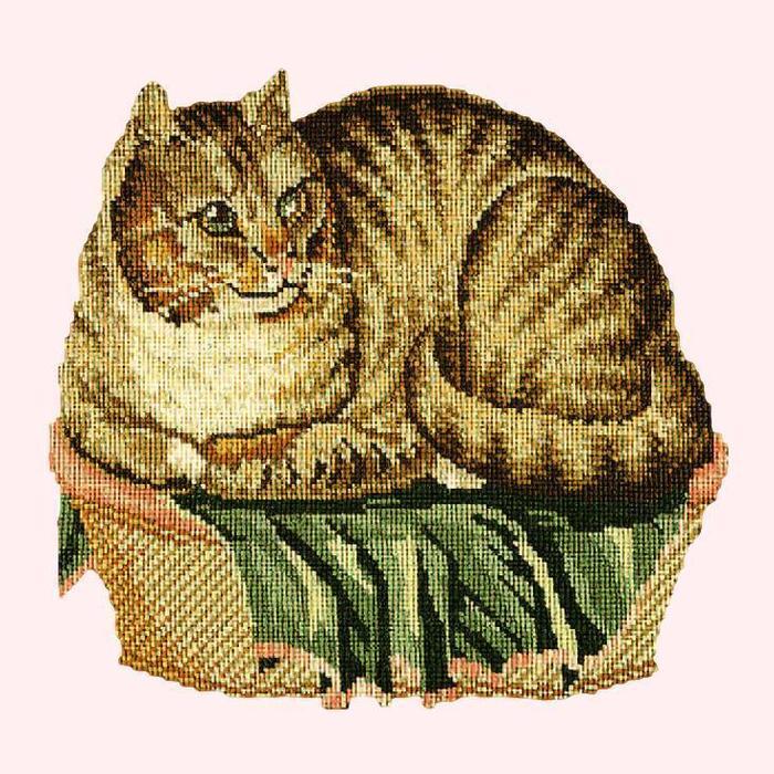 Contented Cat Needlepoint Kit Kits Elizabeth Bradley Design Cream 
