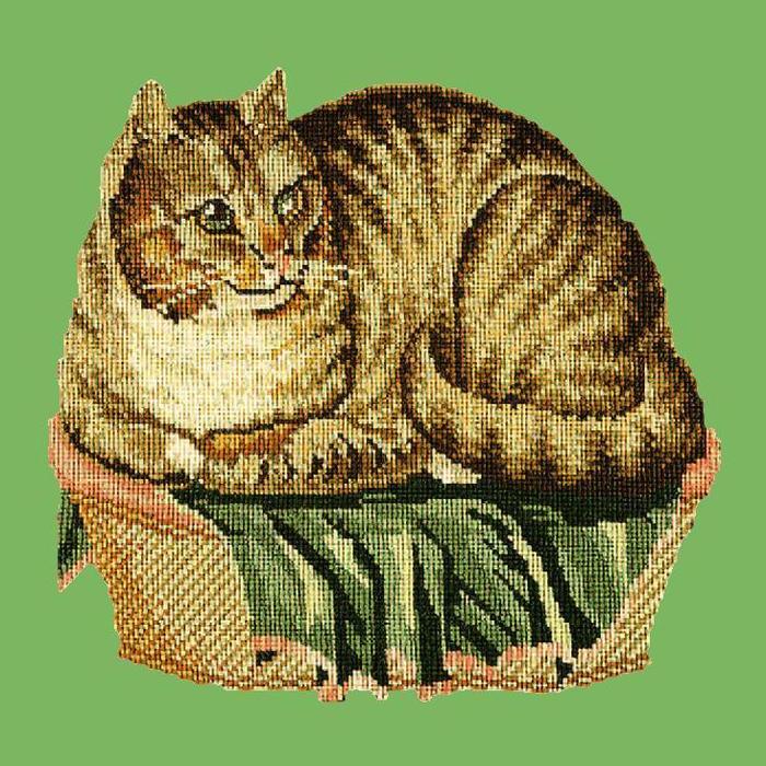 Contented Cat Needlepoint Kit Kits Elizabeth Bradley Design Grass Green 
