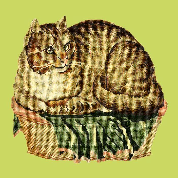 Contented Cat Needlepoint Kit Kits Elizabeth Bradley Design Pale Lime 

