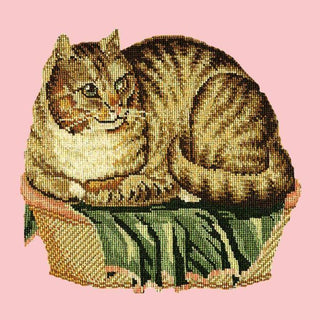 Contented Cat Needlepoint Kit Kits Elizabeth Bradley Design Pale Rose 
