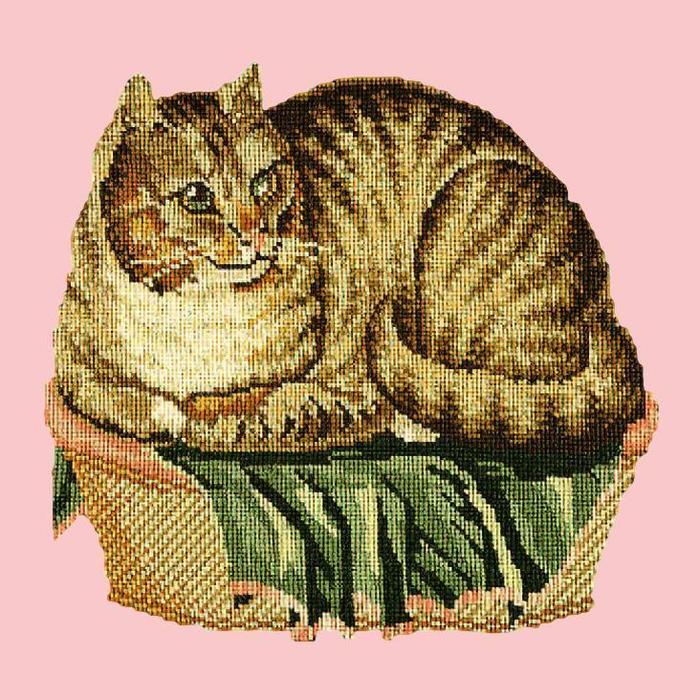 Contented Cat Needlepoint Kit Kits Elizabeth Bradley Design Pale Rose 
