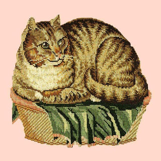 Contented Cat Needlepoint Kit Kits Elizabeth Bradley Design Salmon Pink 
