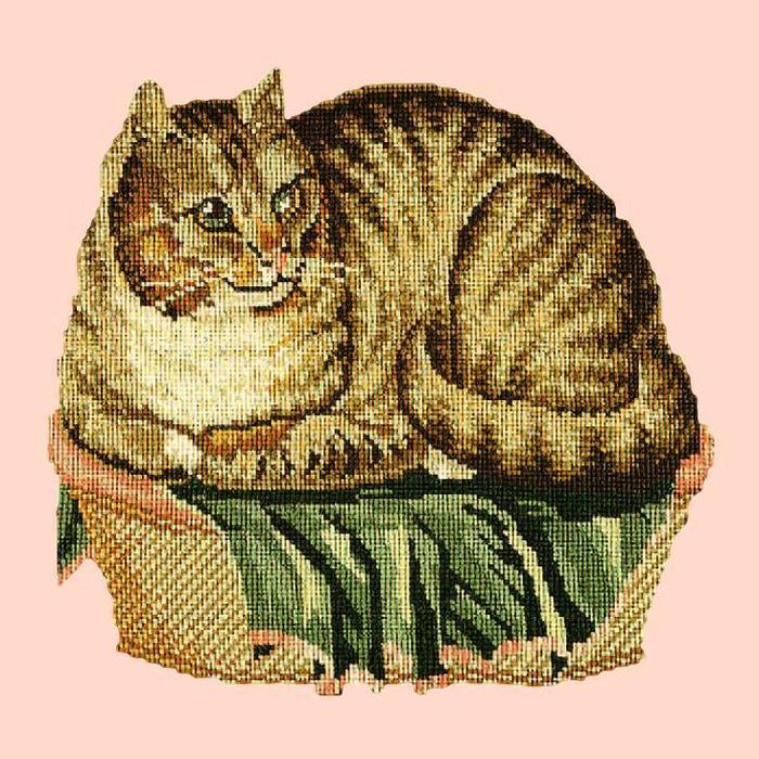Contented Cat Needlepoint Kit Kits Elizabeth Bradley Design Salmon Pink 
