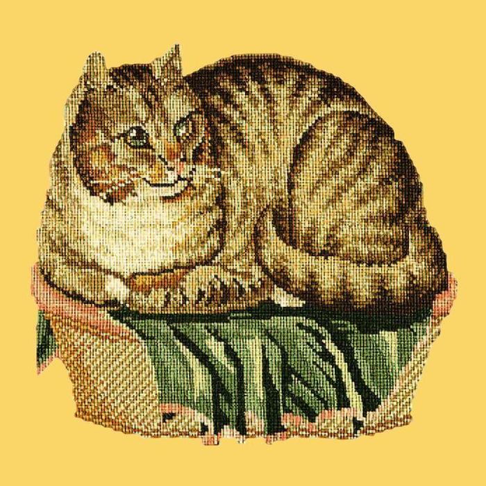 Contented Cat Needlepoint Kit Kits Elizabeth Bradley Design Sunflower Yellow 
