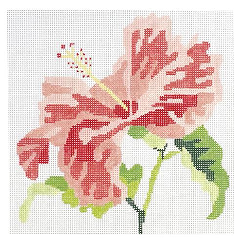 Coral Hibiscus Bloom Painted Canvas Jean Smith 