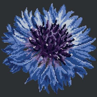 Cornflower 12" Needlepoint Kit Kits Elizabeth Bradley Design Black 

