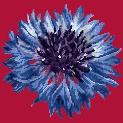 Cornflower 12" Needlepoint Kit Kits Elizabeth Bradley Design Bright Red 
