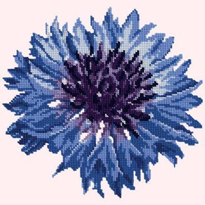 Cornflower 12" Needlepoint Kit Kits Elizabeth Bradley Design Cream 
