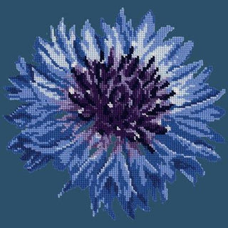 Cornflower 12" Needlepoint Kit Kits Elizabeth Bradley Design Dark Blue 
