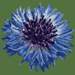 Cornflower 12" Needlepoint Kit Kits Elizabeth Bradley Design Dark Green 
