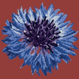 Cornflower 12" Needlepoint Kit Kits Elizabeth Bradley Design Dark Red 
