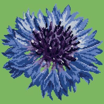 Cornflower 12" Needlepoint Kit Kits Elizabeth Bradley Design Grass Green 
