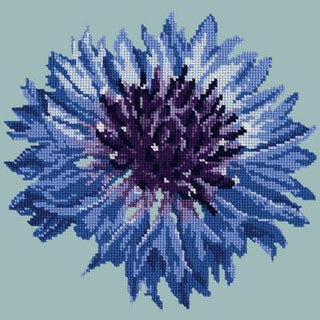 Cornflower 12" Needlepoint Kit Kits Elizabeth Bradley Design Pale Blue 
