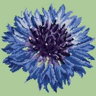 Cornflower 12" Needlepoint Kit Kits Elizabeth Bradley Design Pale Green 
