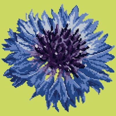 Cornflower 12" Needlepoint Kit Kits Elizabeth Bradley Design Pale Lime 
