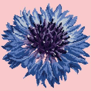 Cornflower 12" Needlepoint Kit Kits Elizabeth Bradley Design Pale Rose 
