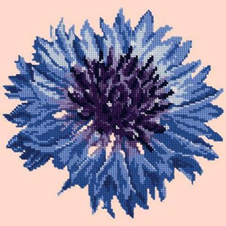 Cornflower 12" Needlepoint Kit Kits Elizabeth Bradley Design Salmon Pink 
