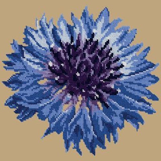 Cornflower 12" Needlepoint Kit Kits Elizabeth Bradley Design Sand 
