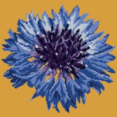 Cornflower 12" Needlepoint Kit Kits Elizabeth Bradley Design Yellow 
