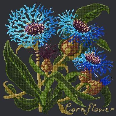 Cornflower Needlepoint Kit Kits Elizabeth Bradley Design Black 
