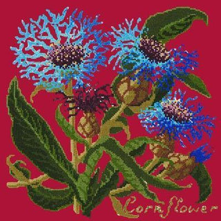 Cornflower Needlepoint Kit Kits Elizabeth Bradley Design Bright Red 
