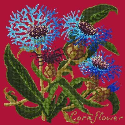 Cornflower Needlepoint Kit Kits Elizabeth Bradley Design Bright Red 
