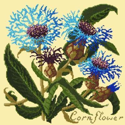 Cornflower Needlepoint Kit Kits Elizabeth Bradley Design Butter Yellow 
