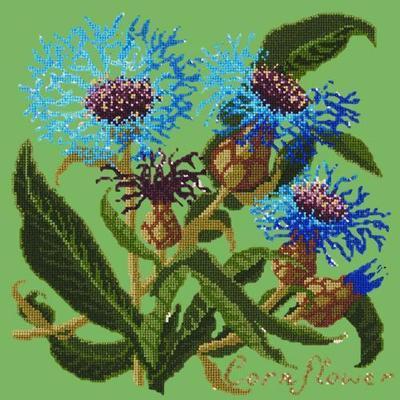 Cornflower Needlepoint Kit Kits Elizabeth Bradley Design Grass Green 
