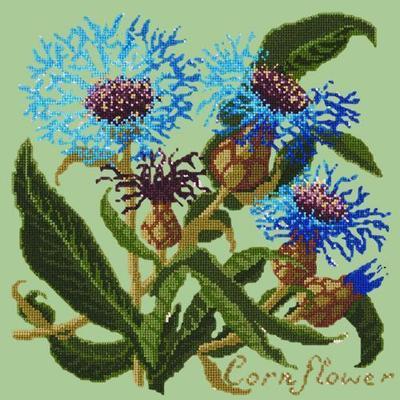Cornflower Needlepoint Kit Kits Elizabeth Bradley Design Pale Green 
