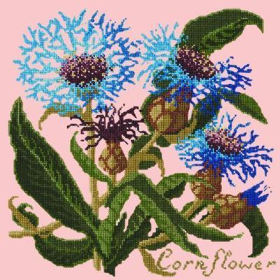 Cornflower Needlepoint Kit Kits Elizabeth Bradley Design Pale Rose 