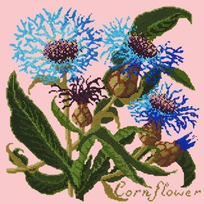 Cornflower Needlepoint Kit Kits Elizabeth Bradley Design Pale Rose 
